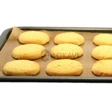 Lámina para Horno de PTFE