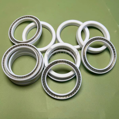 PTFE Spring-Energized Seal